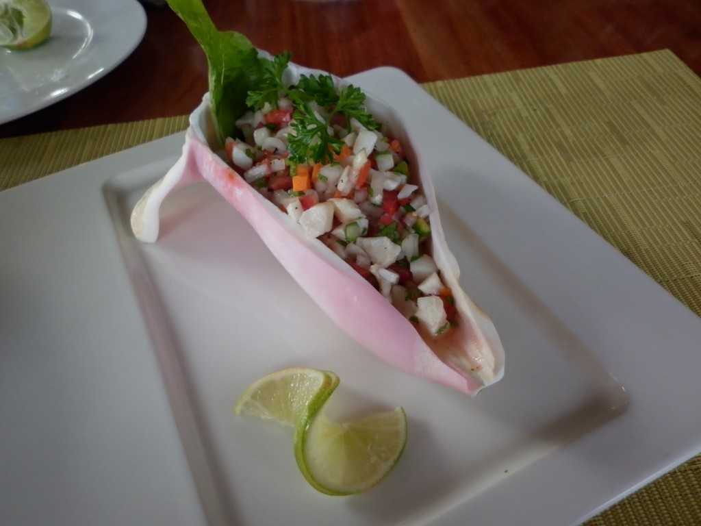 conch ceviche