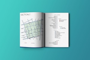 Mexico CIty Streets La Roma section 2 map