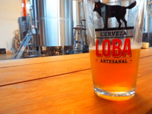 loba_brewing_guadalajara