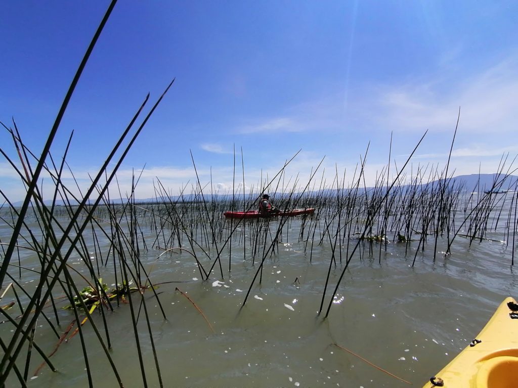 chapala lake mexico