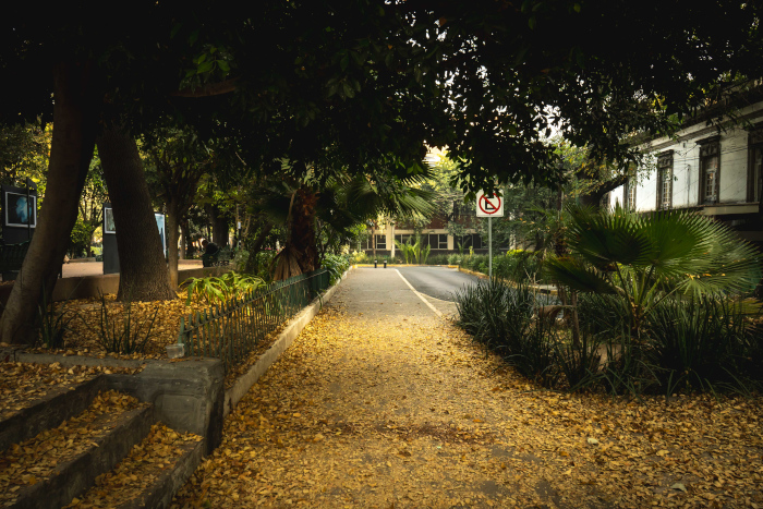 plaza luis cabrera cdmx