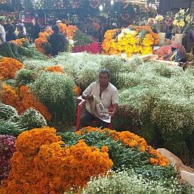 customizable tours mexico city