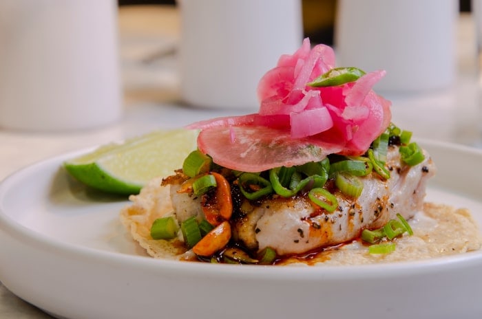 Taller Xilotl colonia juarez